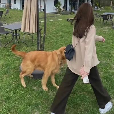 毒枭的末日