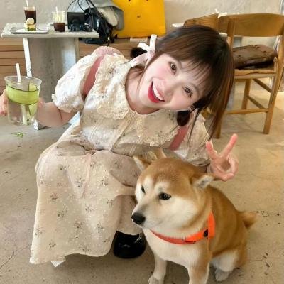扶桑有狐